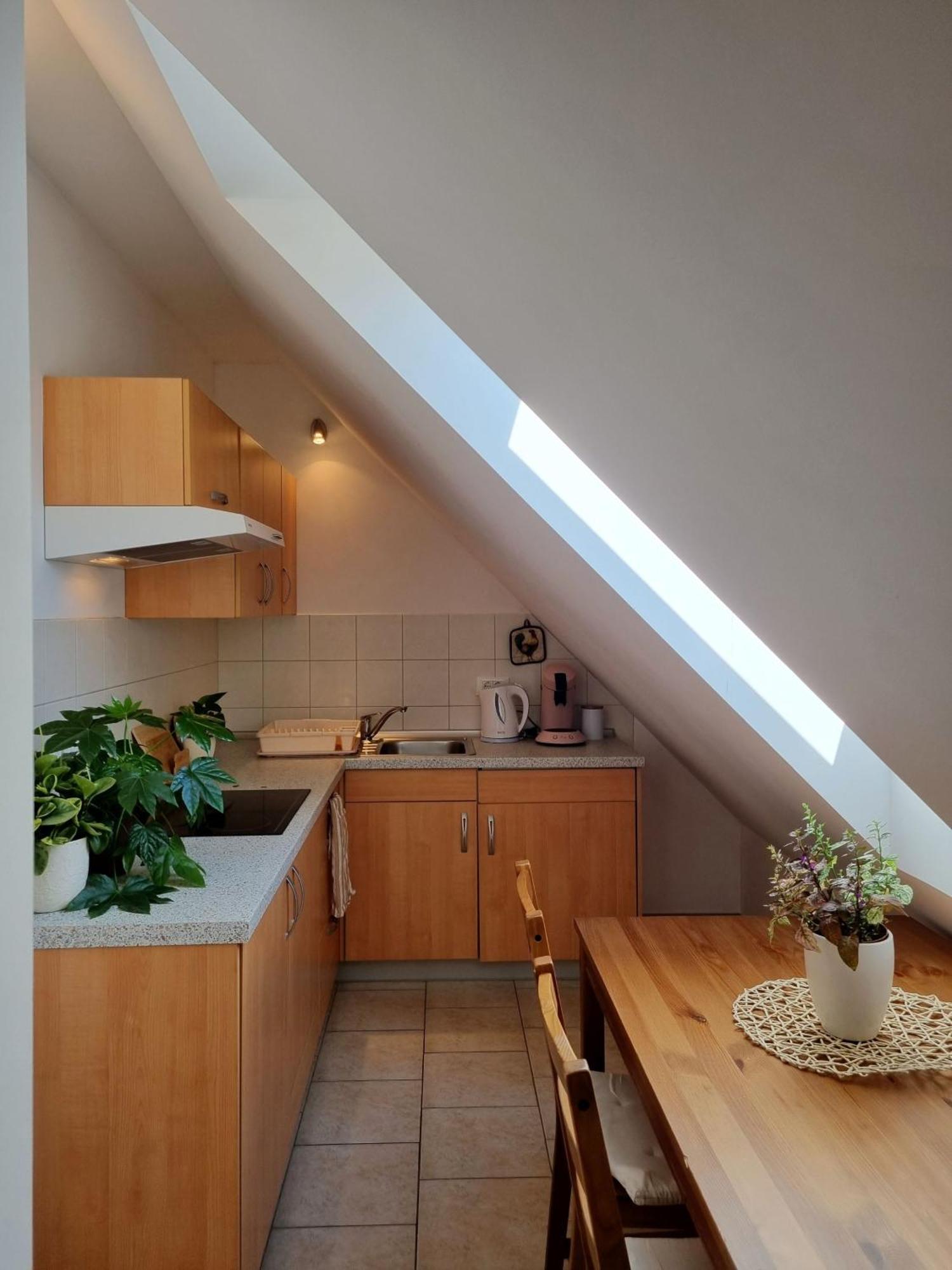 Apartmaji Pri Ticelnu Bovec Zewnętrze zdjęcie